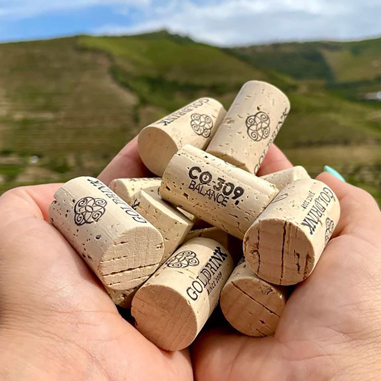 Golddrink renforce l'investissement dans la protection de l'environnement 